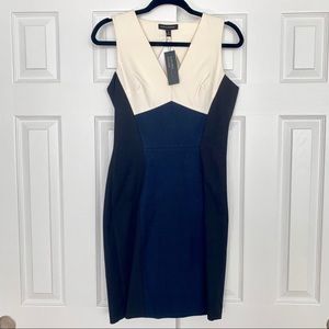 NWT Banana Republic Color Block Sloan Dress 6P